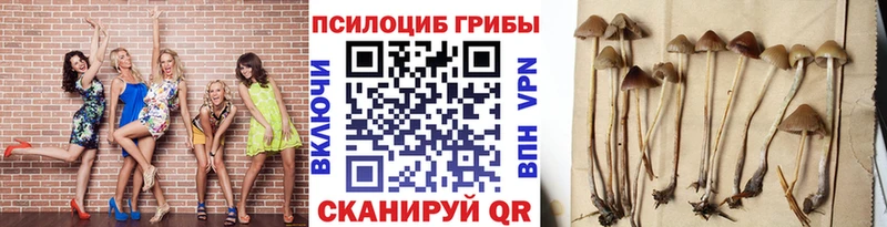 Галлюциногенные грибы Cubensis  Новоульяновск 